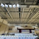 아뮤고나 이미지