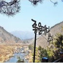 제101회 산누리산악회 충북 영동 월류봉(407m) 시산제산행 이미지