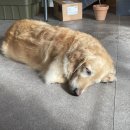 경상대 후문 이미지