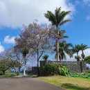 나라골프클럽 이미지