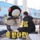하투 Daum카페