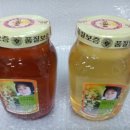 시안농장 이미지