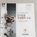 고양이와 함께하는 오렌지 Daum카페