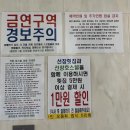 [동해] 1박 2일 묵호 여행기 (+갓성비 오션뷰 선창호스텔 606호 후기, 어향, 라운드어바웃, 묵호 287 카페)