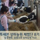 알로만농원 이미지