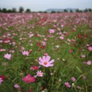 구름밭농장 이미지