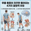 김해the큰병원앞 | 무릎 통증 환자들이 계속재발하는 이유