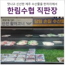 서부마트 | 제주도 서부 여행 숙소 협재 카이 리조트 추천 &amp; 한림수협 직판 위판장 한수위 마트