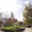 (주)아이비메디칼 이미지