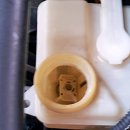 참피온모터스 이미지