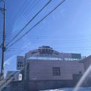 가평 남이섬 투투스파펜션 | 주말 7만원대 숙소 실화? 가평 앤디209 스파펜션 남이섬 근처 숙소 후기