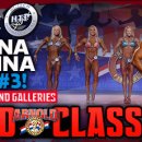THE CLASSIC FITNESS 네이버블로그