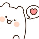 호야펫 구리점 이미지