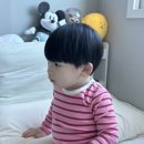 효창원로 | February