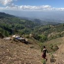 빨간산농장 이미지