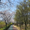 쌍암공원 농구장
