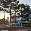 가락싱싱 이미지