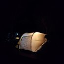 식물원 강아지 이미지