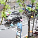 중화 권투체육관 이미지