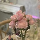 군장카피타운 이미지