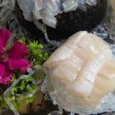 비발디횟집 이미지