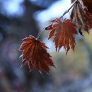 향과울림