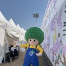 에이오엠