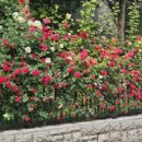 GS25 연남공원점 이미지