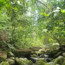 창우7통 이미지