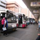 벌꿀모텔 이미지