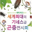 누에타운곤충탐사과학관 한국일보
