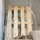 디자인디퍼런트 이미지