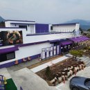 어가식당 이미지