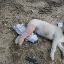태광산업 주식회사 이미지
