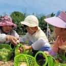 순성어린이집 이미지