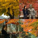 라디오스타박물관 이미지