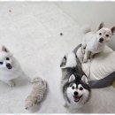 호텔아이 이미지