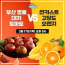 아라몰 이미지