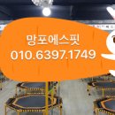 점핑썬