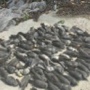 운동공방 이미지