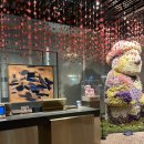 호디박스 | 그랜드 하얏트 제주 / 킹룸, 실내 수영장 후기