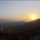 G2380 전자신문