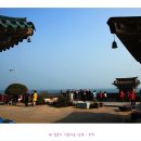 달빛되어 이미지