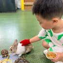 해피주 동물카페 원주점 이미지