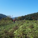 문식농장 이미지