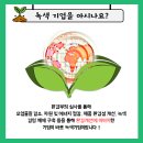 브래인드