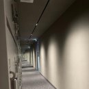 모조 피트니스 이미지