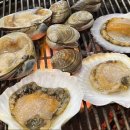 술푸는세상 이미지