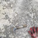 원기마을 이미지