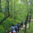 5월 12일 광운대역-월계근린공원-초안산-북서울꿈의숲 둘레길(오패산) - 손성일 카페지기님 리딩 이미지